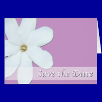 Save the Date Card - Background Colour Changeable cards