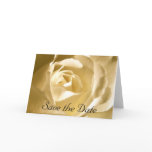 Save the Date Cream Rose Photo Greeting Cards