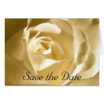 Save the Date Cream Rose Photo Greeting Cards