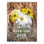 Save The Date: Daisies & Black Eyed Susans On Hay Postcards