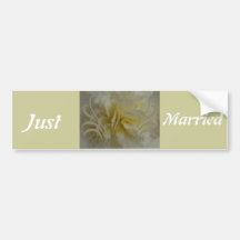 Save the Date Floral Designs Bumper Stickers