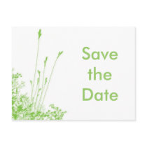 Save the Date  Green grass Postcard