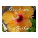 Save The Date Hibiscus Postcard