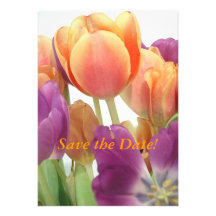 Save the Date Invitation