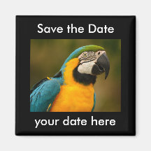 Save the Date Magnet