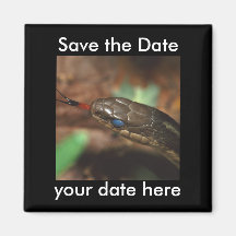 Save the Date Magnet