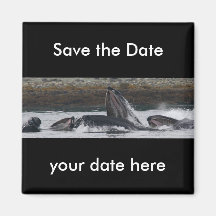 Save the Date Magnet