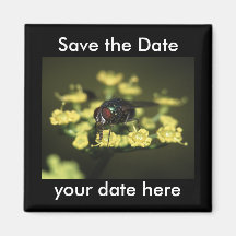 Save the Date Magnet