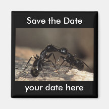 Save the Date Magnet