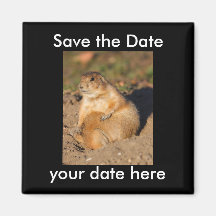 Save the Date Magnet
