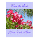 Save the Date Oleander Post Card