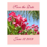 Save the Date Oleander Post Card