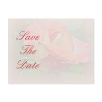 Save the Date - Peachy Rose Blossom