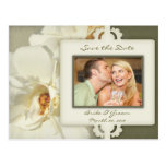 Save the Date photo postcards