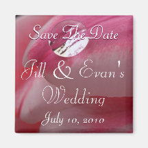 Save The Date Pink Rose Raindrop Wedding Magnet
