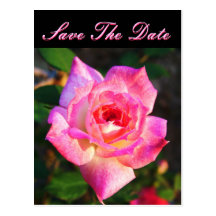 Save the Date Postcard