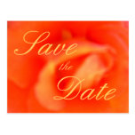 Save the Date Postcard