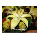save the date postcard