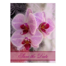 Save the date postcard