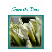 Save the Date postcard - White Calla Lilies