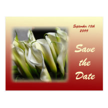 Save the Date postcard - White Calla Lilies
