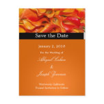 Save the date postcards, orange calla lillies