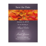 Save the date postcards, orange calla lillies