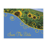 Save The Date - Sunflowers Post Cards
