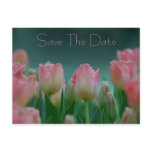 Save The Date TULIPS POSTCARD