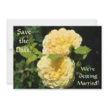 Save the Date! We're Getting Married Yellow Rose Invite