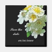 Save the Date White Multiflora Roses Wildflower Fridge Magnets