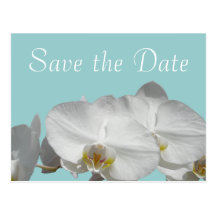 Save the Date White Orchid on Jewel Blue Postcard