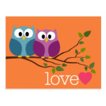 Save the Date with Cute Owl Couple Post Card