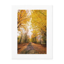Save The Dates Wedding Picture Fall Autumn