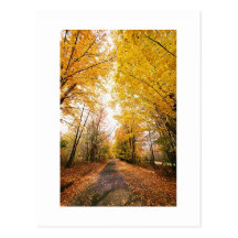 Save The Dates Wedding Picture Fall Autumn Postcard
