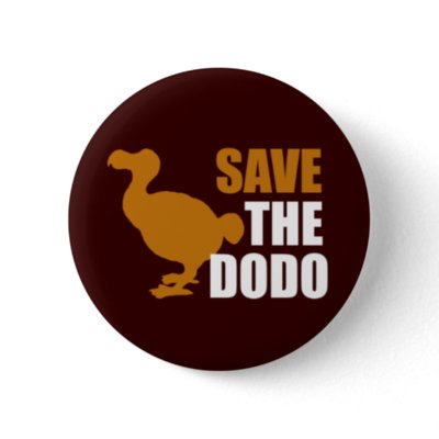 funny dodo