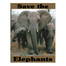 Save the Elephants Post Cards