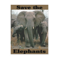 Save the Elephants Post Cards