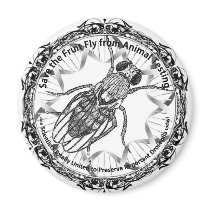 Save the fruit fly! fridge magnets