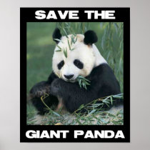 Save the Giant Panda Print