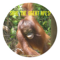 Save the Great Apes Sticker