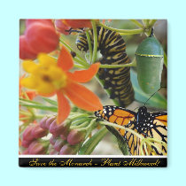 Save the Monarch Magnet magnets