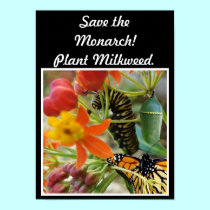 Save the Monarch Poster posters