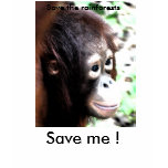 Save the Orangutan T-shirt