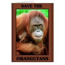Save the Orangutans Greeting Cards