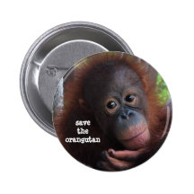 Save the Orangutans! Pin