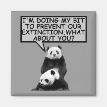 Save the Panda Magnets