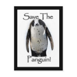 Save The Panguin! Postcard