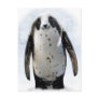 Save the Panguin! Postcard