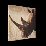 Save the Rhino canvas prints